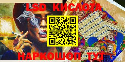 индика Обь