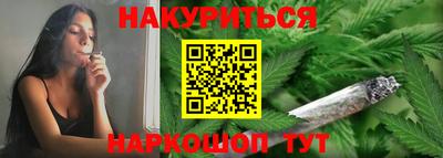 индика Обь