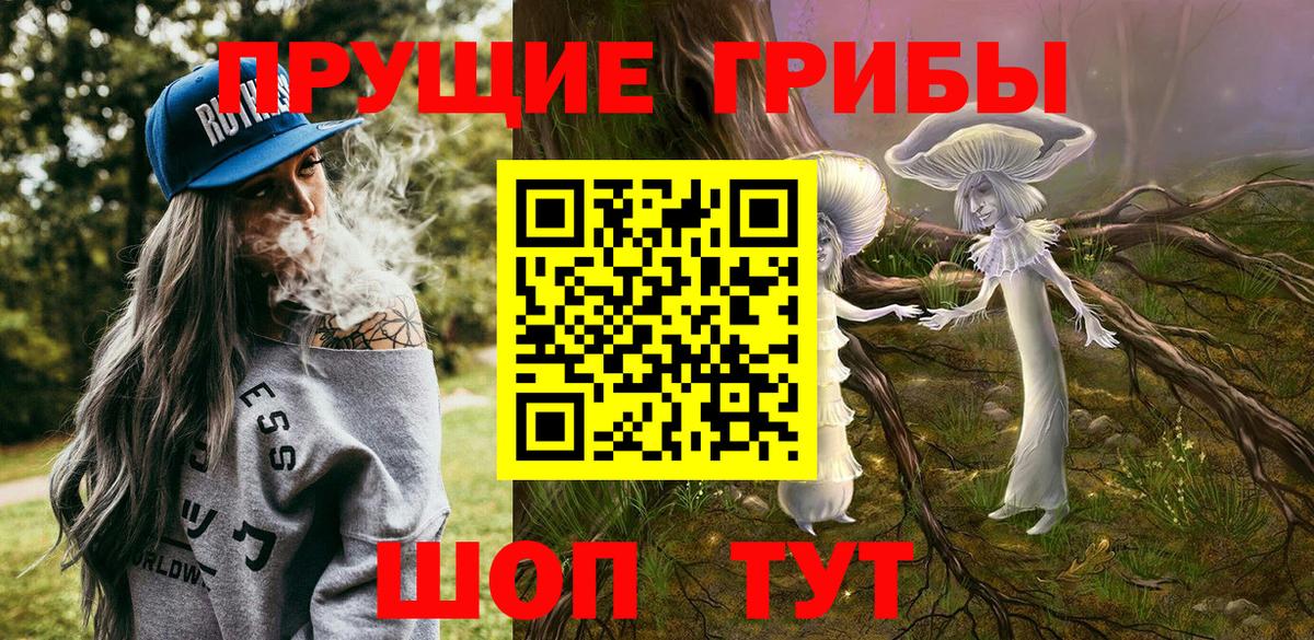 Псилоцибиновые грибы Psilocybe  Вход с VPN  Санкт-Петербург 